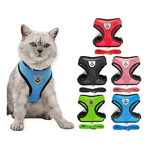 Peitoral Gato Diversos