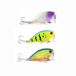 Isca Rebolation 50F - MARURI