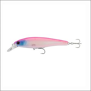 Isca Landara 120 - CROWN