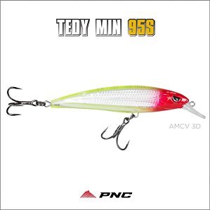 Isca Tedy min 95s - tc