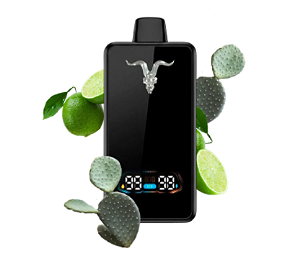 Pod Desc IGNITE V300 Slim - CACTUS LIME SODA