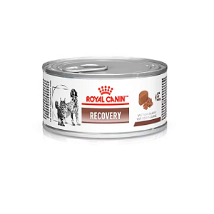 Patê Royal Canin Recovery Veterinary p/ Cães e Gatos 195 g