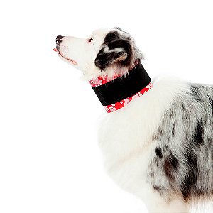 Colar Cervical Pet Med