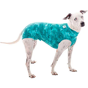Roupa Cirúrgica Dry Light Supreme Cães - Verde