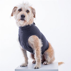 Colete Calm Pet - Cinza Chumbo