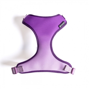 PEITORAL AIR LILAC - LILAC - M
