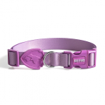 COLEIRA LILAC - LILAC - PP