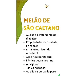 Melão São Caetano 60 Cap De 500 Mg Flora Nutry