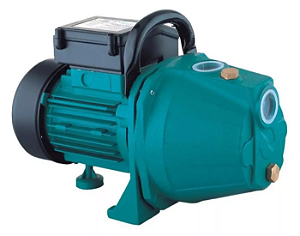 Moto Bombas Autoaspirante 1,5 Cv Xkj-1100i 220v C/nfe 50211407100 Lepono