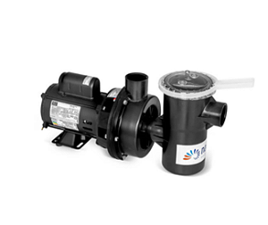 Bomba Centrífuga Para Piscina Nbfc-1 127/220v Nautilus C/nfe 21410226