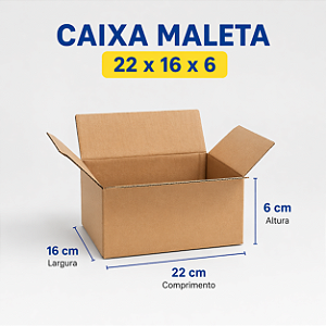 Caixa de Papelão 22x16x6 cm tipo Maleta para Envio e E-commerce