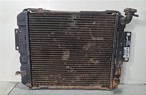 Radiador Agua Asia Towner 2002