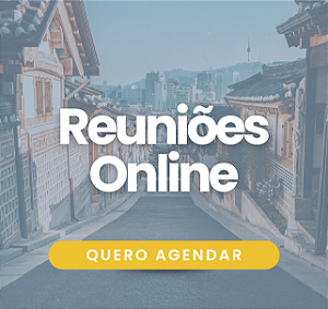 Reuniões On-line de Consultoria para Viagem à Coreia do Sul
