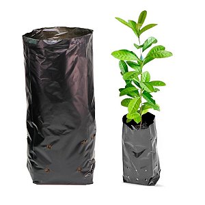 Pacote para Mudas 8x15 com 1000 un
