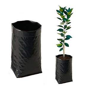 Pacotes para Mudas 18x24 1000un