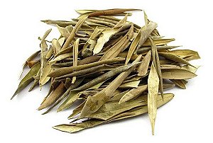 Chá De Oliveira Folhas 100 Gramas