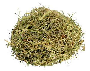 Melão De São Caetano Chá 100g