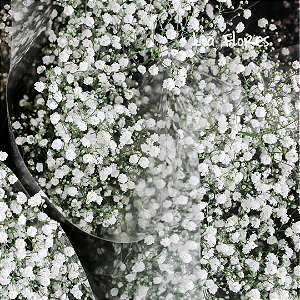 Mosquitinho Gypsophila Branco - Haste/Ramo