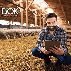 GED para Pecuária | Organização Documental, Rastreabilidade e Conformidade Rural