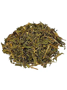 Catinga de mulata (Tanacetum vulgare L.)