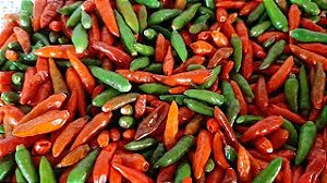 Pimenta Malagueta in natura SEM talo