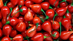 Pimenta Biquinho in natura com talo