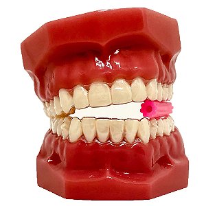 Mordedor Power Aligner 8 Rosa Sem Aroma 1 Unidade - Coraldent