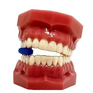 Mordedor Power Aligner 10 Azul Sem Aroma 1 Unidade - Coraldent