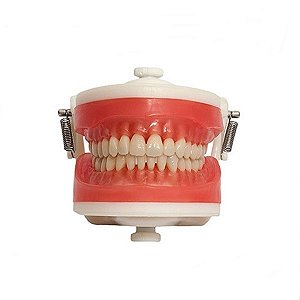 Manequim Articulador Mdt  099 - Pronew