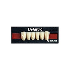 Dente Delara 6 Anterior Inferior - Kulzer