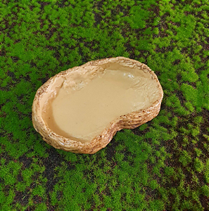 Bebedouro Médio BR 116