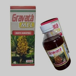 Gravata xarope natural fc 300 ml antigripal