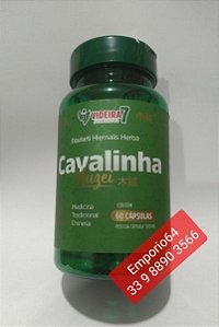 CAVALINHA MTC 500mg FC 60 CPS VIDEIRA-7