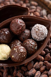 Ovo de Páscoa 45% Ao Leite com 8 Trufas Zero Açúcar 340g