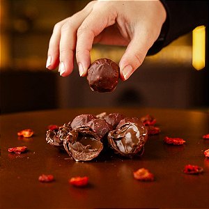 Trufas de Chocolate fino com Avelã Zero Açúcar 100g