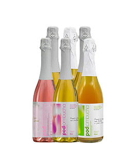 Caixa com 06 Unidades - Espumante de Kombucha Zero Álcool 750ml