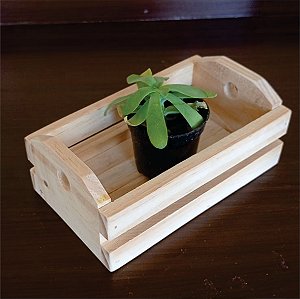Mini Caixote Madeira De Pinus 16x10x6,5cm