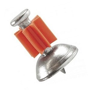 Pino CCL Forro de gesso