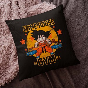 Almofada Kame House Goku Dragon Ball Z Academia GYM Anime 45x45