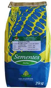 Sementes Milho Verde Doce Precoce / 2 Kg /pamonha E Silagem