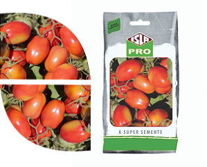 Tomate Rasteiro Rio Grande 20.000 Sementes / 50g