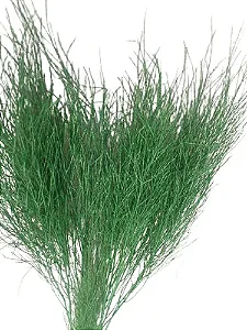 Galhos Aspargo Verde Com Purpurina 6 Uni Decoração Enfeite