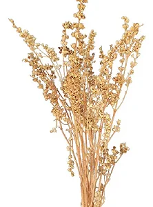 Galhos Coroinha Cor Natural Decoração Enfeite