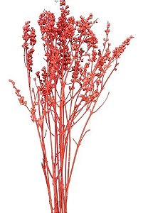 Galhos Coroinha Vermelho Decoração Enfeite Ornamentação