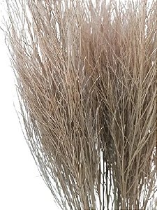 Galhos De Aspargo Natural  Decoração Arranjos Enfeite