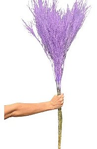 Galhos De Aspargo Roxo Escuro Seco Natural Decoração