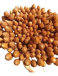 Galhos Mini Pinha Flor Natural Seca Para Arranjo E Decoração
