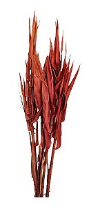 Galhos Secos E Naturais Andrequicé Para Decoração Vermelho