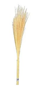 Maço\galho De Fio De Ouro Alvejado Seco Natural Decoração