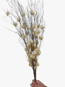 Montagem Com Galhos De Aspargo Natural Flor De Primavera